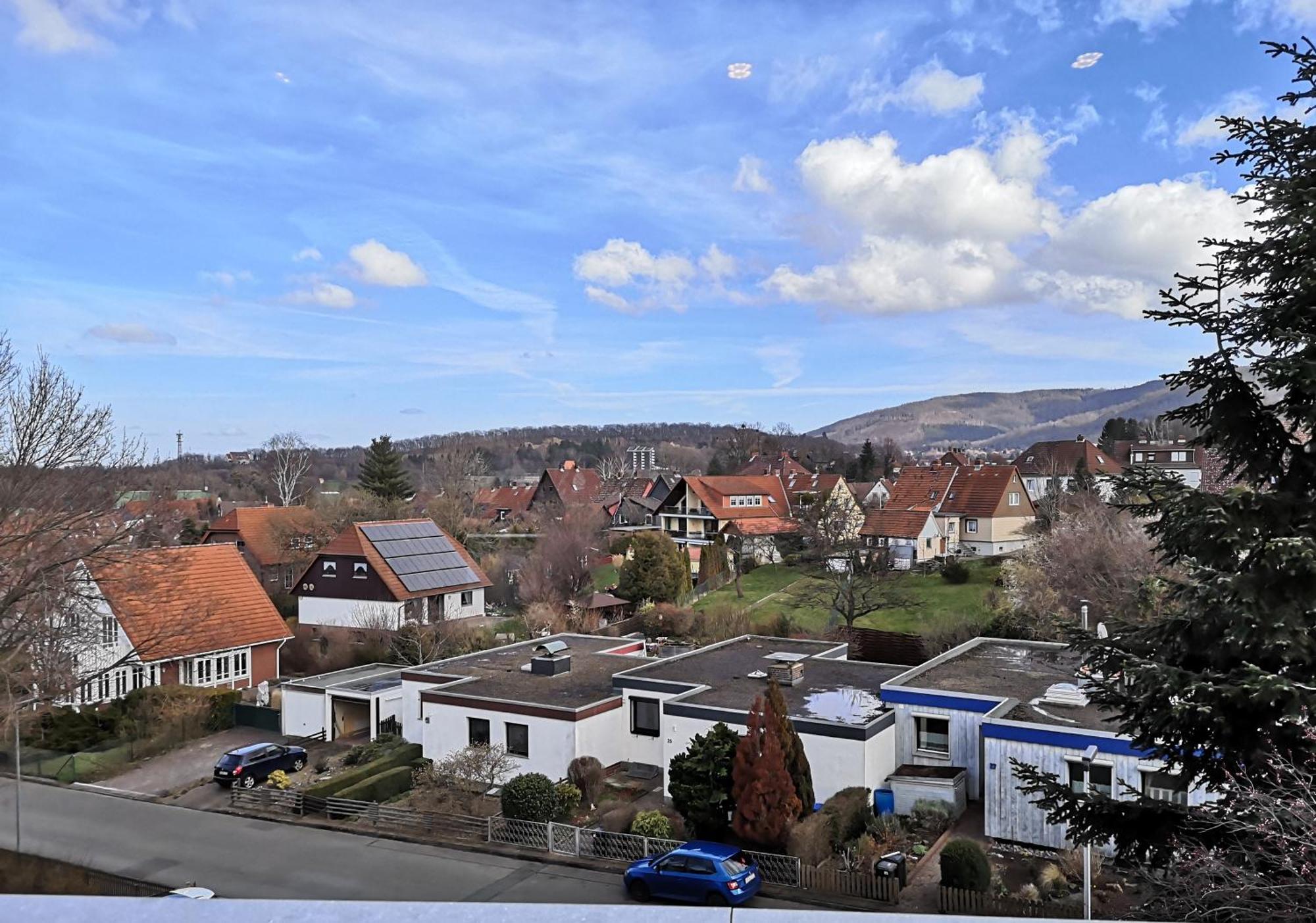 Fewo Penthouse Am Wildpark Bad Harzburg Extérieur photo